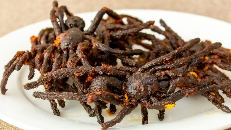Fried Tarantulas