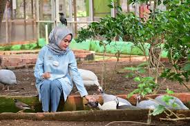 Palembang Bird Park