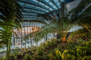 Sky Garden