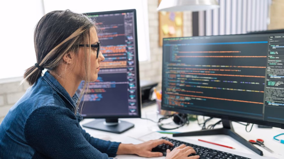 software developer