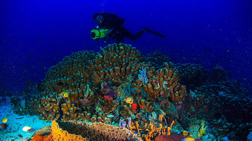 Pulau Morotai