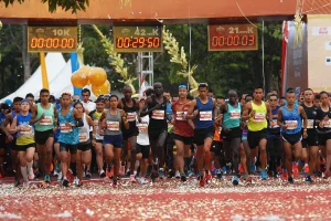 Borobudur Marathon aerial