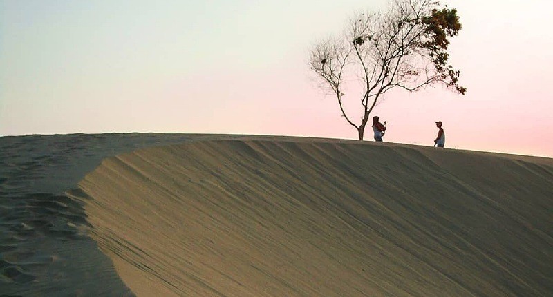 Daya Tarik Visual yang Membuatnya Viral