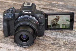 Canon EOS R50